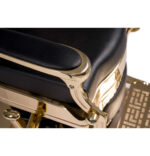 Barber Chair BUZZ GOLD - Image 5