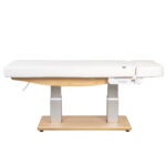 Aesthetic SPA Bed TROCH SMART PU (4 MOTOR) With Heating - Image 2