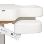 Aesthetic SPA Bed TROCH SMART PU (4 MOTOR) With Heating - Image 7