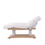 Aesthetic SPA Bed TROCH+ PU (4 MOTOR) with Heating - Image 10