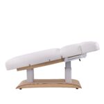 Aesthetic SPA Bed TROCH+ PU (4 MOTOR) with Heating - Image 2