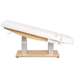 Aesthetic SPA Bed TROCH SMART PU (4 MOTOR) With Heating - Image 4