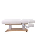 Aesthetic SPA Bed TROCH+ PU (4 MOTOR) with Heating - Image 7