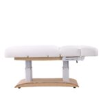 Aesthetic SPA Bed TROCH+ PU (4 MOTOR) with Heating - Image 11